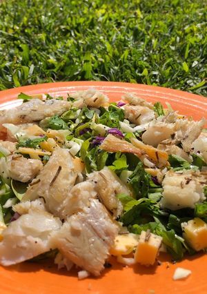 Una foto de Ensalada primaveral fresca con merluza #lunesdereciclado #livianoynutritivo #primavera