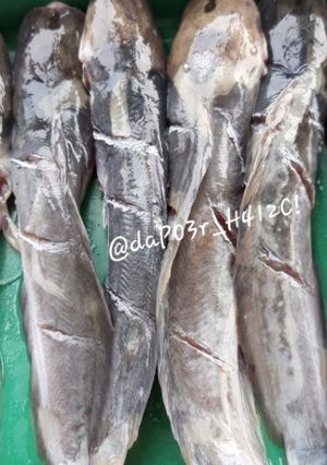 Foto resep Cara MenghiLangkan Lendir Ikan LeLe