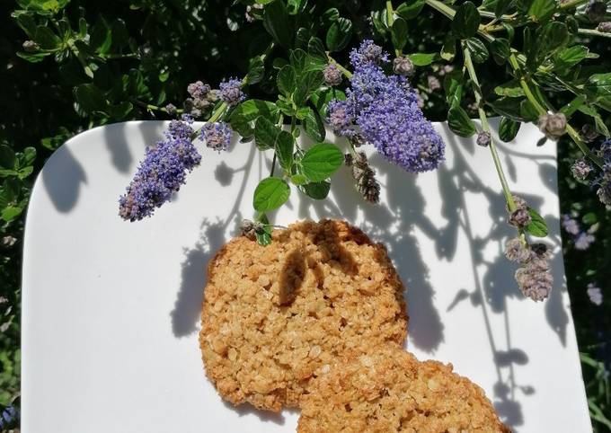 Recette Appétissante Palets aux flocons d'avoine: