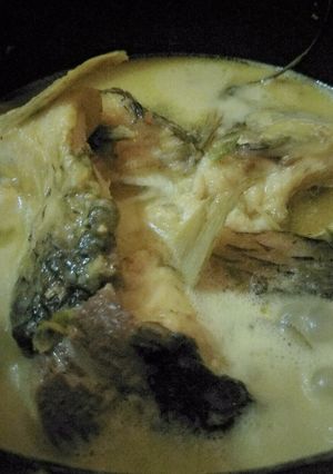 Foto resep Santan ikan mas ala mbeck