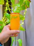 Virgin Mimosa Mocktail