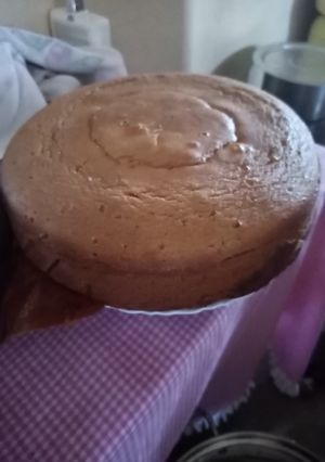 A picture of A simple vanilla cake..