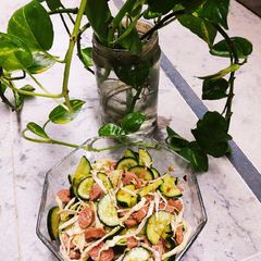 A picture of Crunchy and Spicy Cabbage Cucumber 🥒 Salad 🥗.