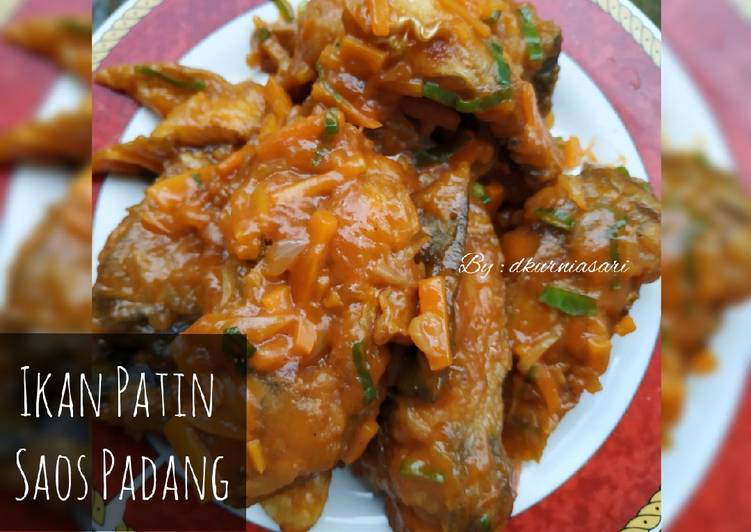 Cara membuat Ikan Patin Saos Padang yang lezat Untuk Jualan