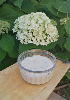 Une photo de Tapioca au lait