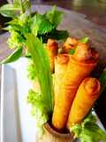 Fried Spring Rolls