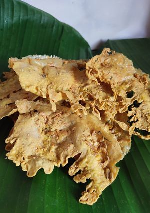 Foto resep Rempeyek Udang Rebon