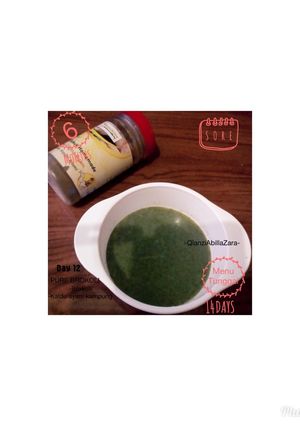 Foto resep MPASI 6 Bulan Puree Brokoli