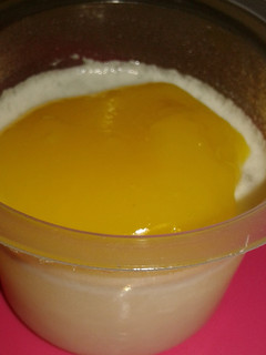 Foto resep Pudding Lychee Mango Sauce