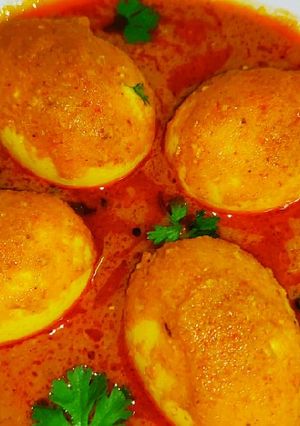 A picture of Egg Curry egg Korma.