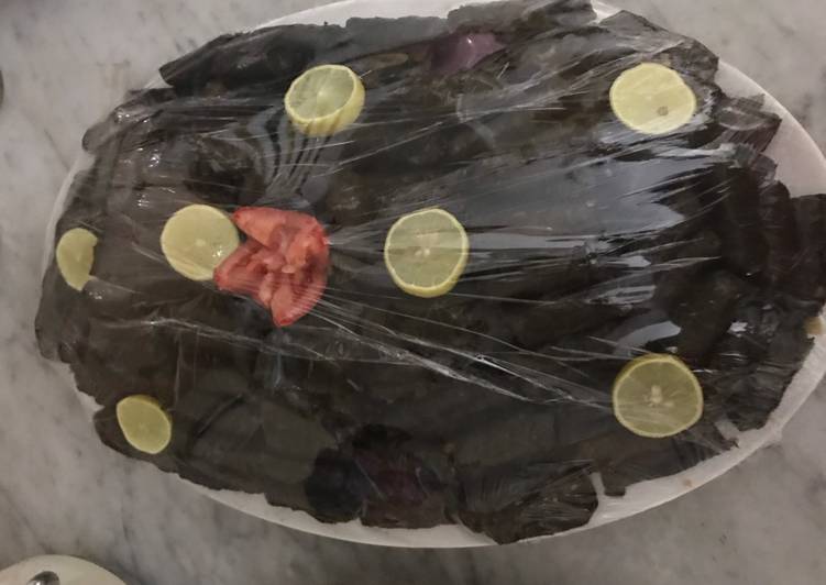 محشي ورق العنب