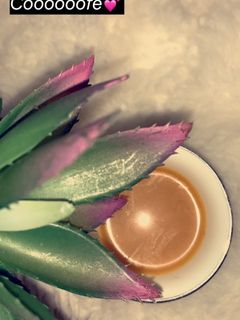 صورة لوصفة القهوة العربية 🌻