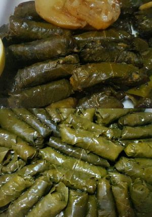 صورة لوصفة اطيب يلنجي 💝