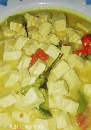 Foto resep Tahu santan bumbu iris
