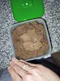 Hummus de aduki y porotos negros