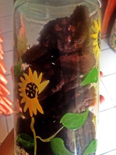 Foto resep Cookies chocochip