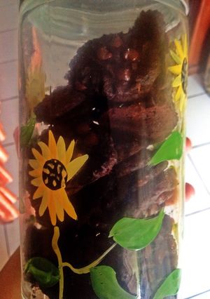 Foto resep Cookies chocochip