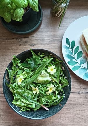 Foto di Insalata con Erbe di Campo e Crostini