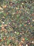 Murungai Illai Podi(Drumstick leaves)