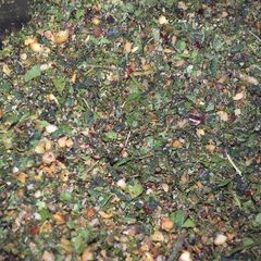 A picture of Murungai Illai Podi(Drumstick leaves).