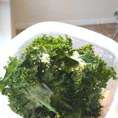 รูปของ Kale Chips (keripik kale)