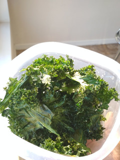 Foto resep Kale Chips (keripik kale)