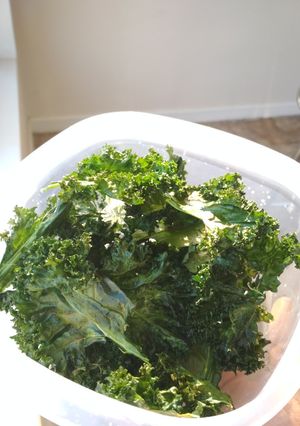 Foto resep Kale Chips (keripik kale)