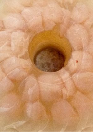 Foto resep Pudding lychee nan segar