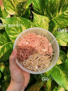 Hình của món Bún gạo lức xào với thịt bò và giá.