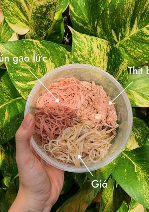 Hình của món Bún gạo lức xào với thịt bò và giá.