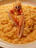Risotto agli scampi, senza panna