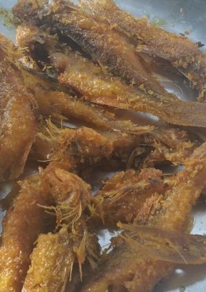 A picture of Fried Topshe fish fry.