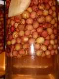Conservas de Murtas con manzanas