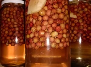 Una foto de Conservas de Murtas con manzanas