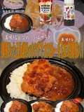 Katsu Curry with Onion Dressing and UmaDore
