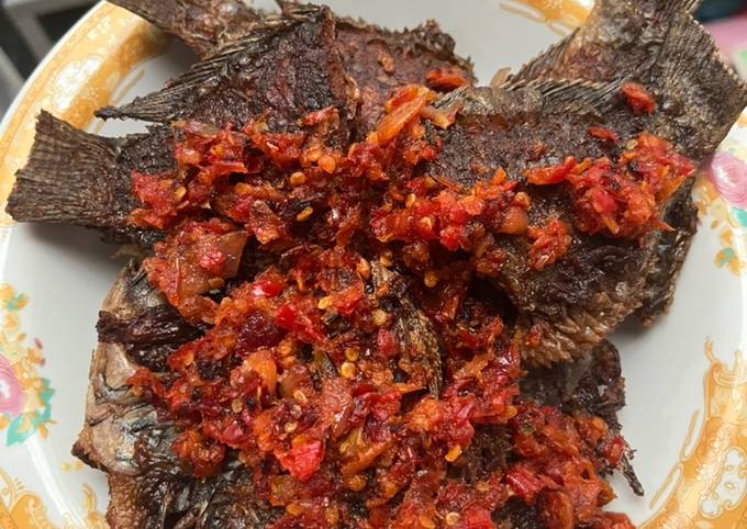 Resep Balado Sambal Ikan Mujair Oleh Fika Hasibuan Cookpad