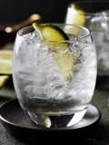 Gin And Tonic