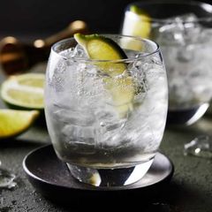 A picture of Gin And Tonic.