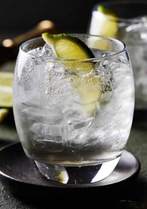 A picture of Gin And Tonic.