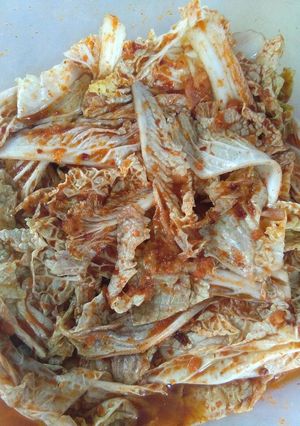 Foto resep Kimchi (Gampang banget!!!)