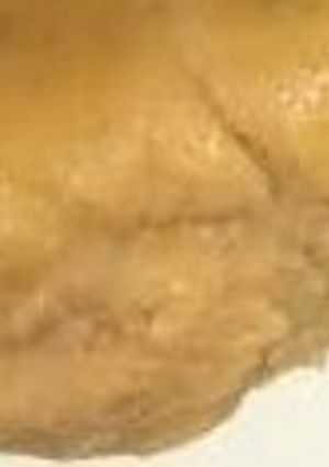 A picture of Moi moi.