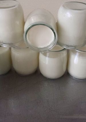 Hình của món Sữa chua pho mai.