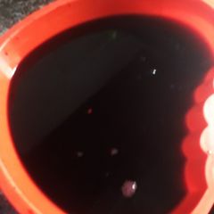 A picture of Zobo.