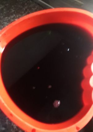 A picture of Zobo.
