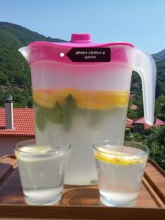 O poză a rețetei Limonadă cu lămâie și mentă.