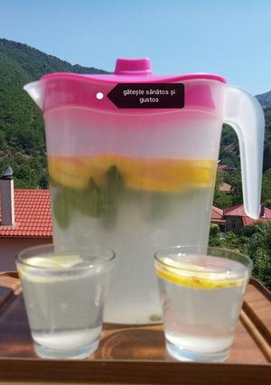 O poză a rețetei Limonadă cu lămâie și mentă.