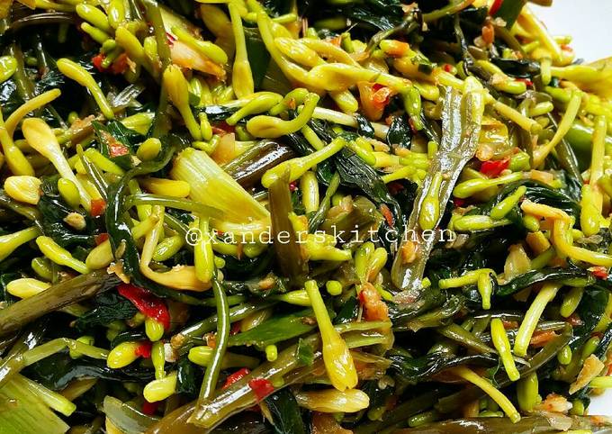 Resep Kangkung bunga pepaya tumis...sedaap, Sempurna