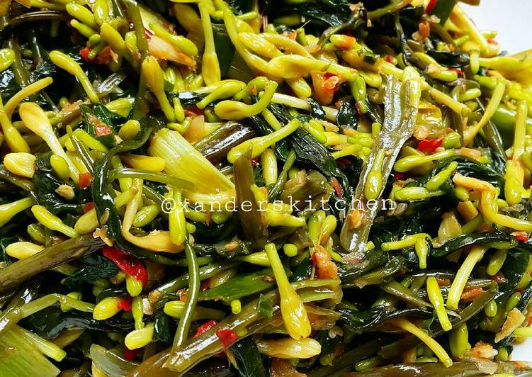  Resep Kangkung bunga pepaya tumis sedaap oleh Xander s 