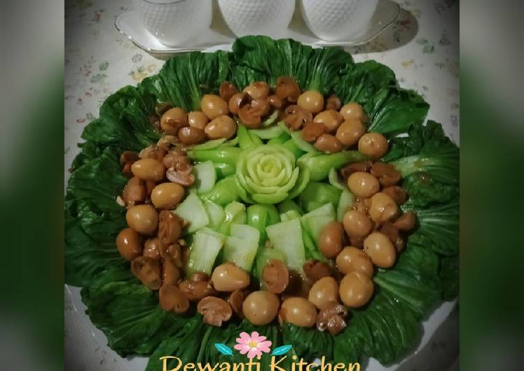 ๐ฑ๐๐จ๐ค ๐๐ก๐จ๐ฒ ๐๐ข๐ซ๐๐ฆ ๐๐๐ฆ๐ฎ๐ซ ๐๐๐ฅ๐ฎ๐ซ ๐๐ฎ๐ฒ๐ฎ๐ก๐ฑ