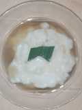 Bubur Sumsum
